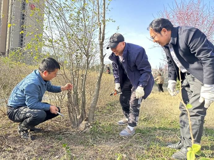 331b8706ab3cdad576e2f34fde0889a